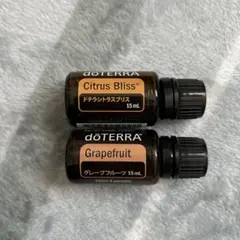 2026年最新】ドテラシトラスブリスの人気アイテム - メルカリ