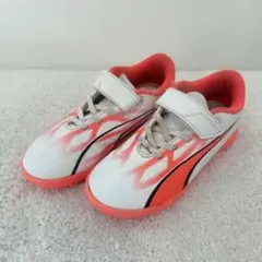 Item thumbnail for item 05e92b3d-17eb-43a9-b7e9-ae33c1561369