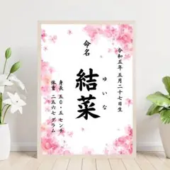 Mira様【お急ぎ便・出生時間追加】命名書
