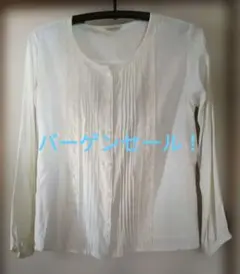 Item thumbnail for item 8c39393a-eab0-4d41-b511-5fa54e7a9443