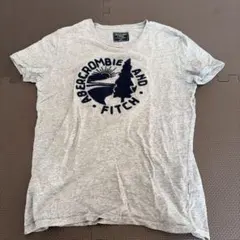 Abercrombie & Fitch グレー Tシャツ XS