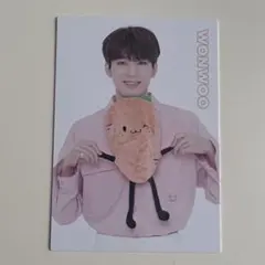 ウォヌ SEVENTEEN セブチ happyending トレカ