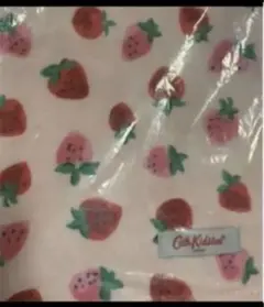 ⚠️⚠️最終価格なのでいいねのみ❌❌即購入以外コメント！新品！キャスキッドソンタオル