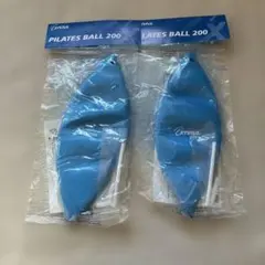 Item thumbnail for item a0df3223-7277-47f3-b199-e69d90e86589