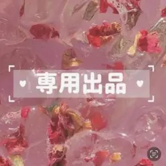 専用出品