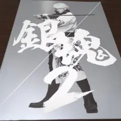 映画　銀魂2 パンフレット