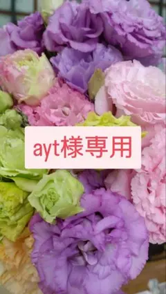 ayt様専用　トルコギキョウ　リシアンサス　切り花