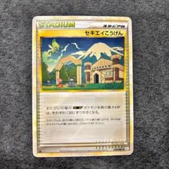 2026年最新】ポケモンカード セキエイこうげん 070/L-P プロモの人気