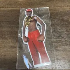 2025年最新】Tyler theの人気アイテム - メルカリ