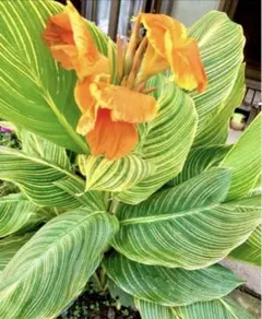 K様 リクエスト 3点 まとめ商品