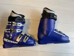 Item thumbnail for item 805f2bfe-d602-43b1-843a-192236f96e75