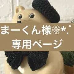 まーくん様❁⃘*.゜専用