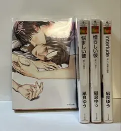 美しい彼 全4巻セット 凪良ゆう