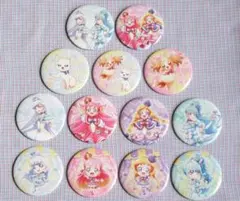 【匿名発送】プリキュアライブ 缶バッジ 全13種 フルコンプセット わんぷり