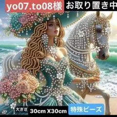 ★専用★ダイヤモンドアート特殊ビーズ　貴婦人と白馬　キットセット