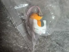 夏目友人帳　ニャンコ先生　キーホルダー