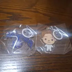 EXILE TAKAHIRO 武道館 目印チャーム