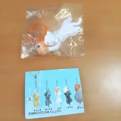 猫釣れました。めじるしアクセサリー☆シロ