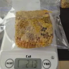 Item thumbnail for item b78605cd-eb17-4321-9bef-b44f3b361f2b