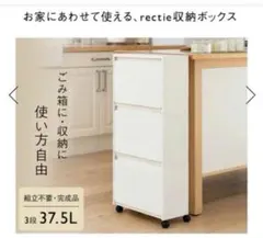 【早い者勝ち】KEYUKA rectie 分別 ゴミ箱 収納ボックス 3段