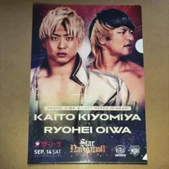 Item thumbnail for item 078440aa-403b-4051-9477-5879f2f24d1d