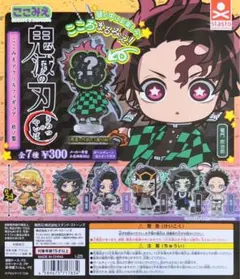 ⭐︎週末お値下⭐︎鬼滅の刃　ここみえ　玖ノ型　我妻善逸　胡蝶しのぶ！！