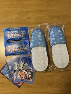 【新品】ディズニーホテル　スリッパ2足セット　ポストカード、アニメティ付き