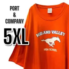 【875】PORT & COMPANY 5XL 大きめUSA古着 半袖Tシャツ