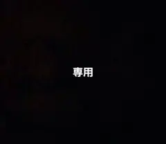 専用