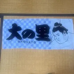 2025年最新】大の里 サインの人気アイテム - メルカリ