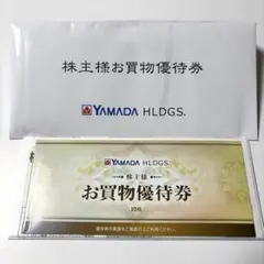 ヤマダ電機 ヤマダHD YAMADA HLDGS. お買物優待券 10枚セット