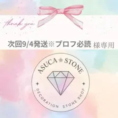 【速達】次回9/4発送※プロフ必読様