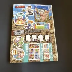 週刊少年ジャンプ付録 Dr.STONE カスタマイズシール