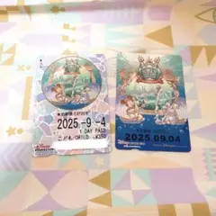 ディズニーリゾートライン　フリーきっぷ 24周年