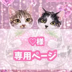 ♡様専用ページ❤︎