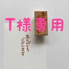 とんちゃん様 専用