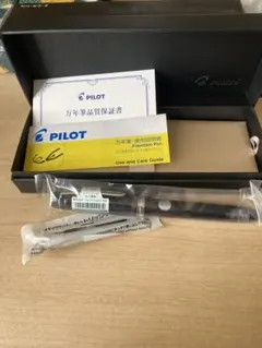 廃盤 パイロット PILOT 万年筆 カスタム74 細字F 透明軸 - メルカリ
