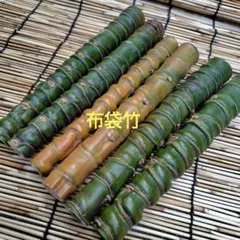 新潟県産 孟宗竹 採れたて | Mercari