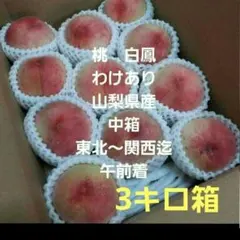 2桃　白鳳　わけあり　中箱　山梨県産　午前着のサムネイル