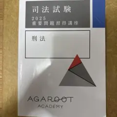 アガルート　重要問題習得講座(重問) 2025 刑法
