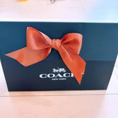 Item thumbnail for item 31075e43-6b47-400d-9a2d-7cdc369b9ae8