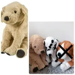 【最終値下げ！5月末削除！】犬のぬいぐるみセット大型1体、 中型 2体のサムネイル