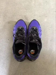 NIKEナイキ AIR MAX DN8 パープル 27.5cm
