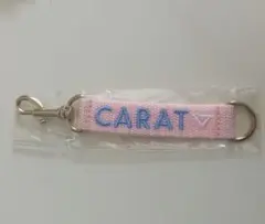 SEVENTEEN ファンクラブ更新限定グッズ