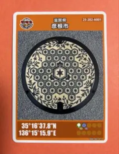 Item thumbnail for item 2bb4416f-d20b-47ed-ae79-c090aa614126