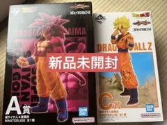 Item thumbnail for item da257cc6-8efe-402f-8f65-b7c1a60d1fcd