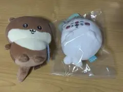 2025年最新】アザラシくじの人気アイテム - メルカリ