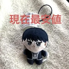 ENHYPEN　Given-Taken　ほわぬい　ソヌ ぬいぐるみマスコット