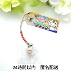 2025年最新】ご当地キティ ストラップの人気アイテム - メルカリ
