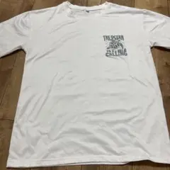 ハワイアンウミガメM Tシャツ美品